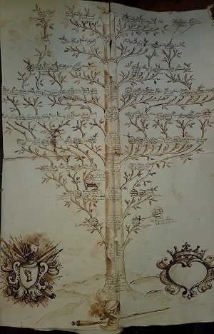 Fig. 1 – The Perremuto Family Tree